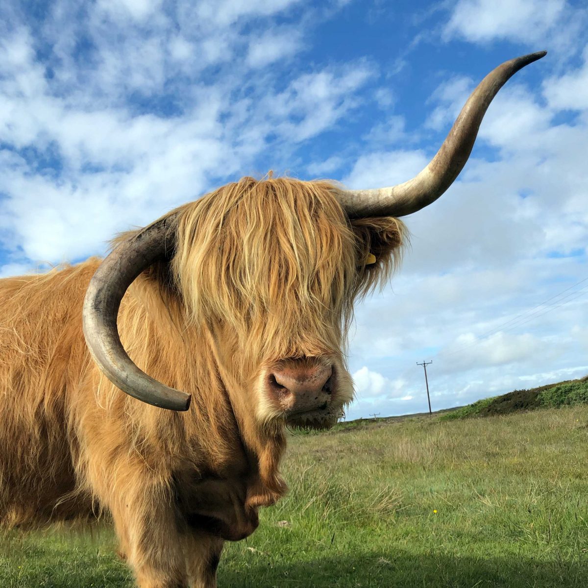 Isle of Coll – Coll Bunkhouse